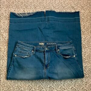 Massimo High Rise Wide Leg Crop Denim Pants